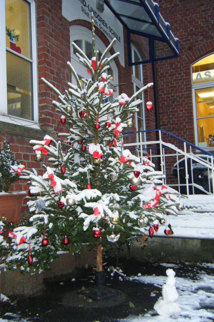 Begehbarer Adventskalender - Weihnachtsbaum