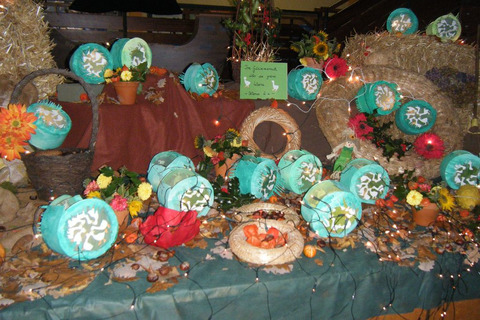 Laternenausstellung 2010 - Klasse 2a