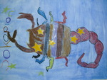 wbs_sternbild2
