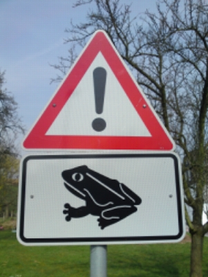 Froschschild