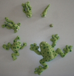Froschentwicklung