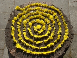 Spirale 2