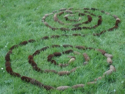 Spirale 3