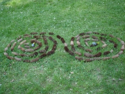 Spirale 4