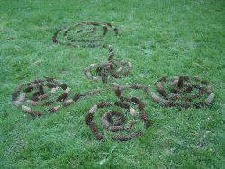 Spirale 5