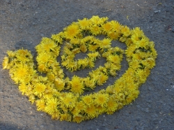 Spirale 6