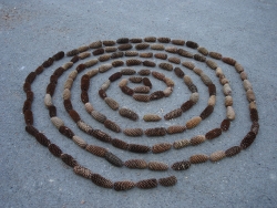 Spirale 7