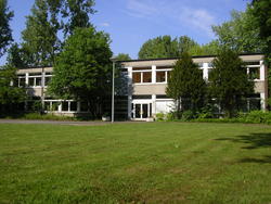 Rasen 2
