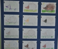Igel 1