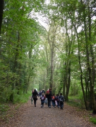 R&uuml;ckweg