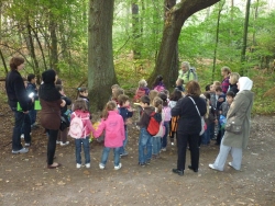 Klasse am Baumstamm