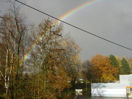 Regenbogen AREA 51 