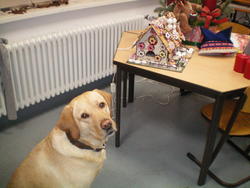 WBS_Froschklasse_Gianna_Weihnachten1