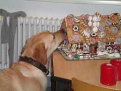 WBS_Froschklasse_Gianna_Weihnachten2