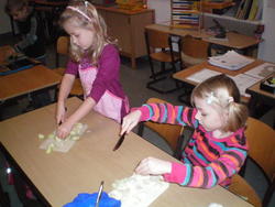 WBS_Frosch 3