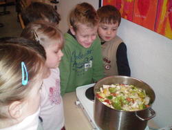 WBS_Frosch 4