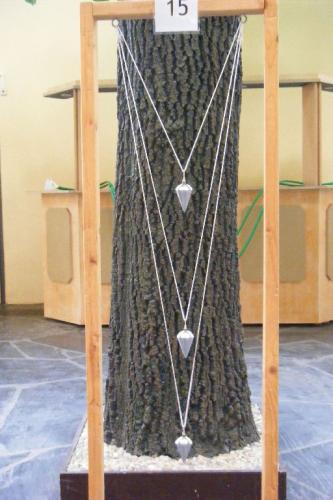 Miniph&auml;nomenta5
