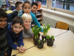 WBS_Frosch_Fr&uuml;hling1