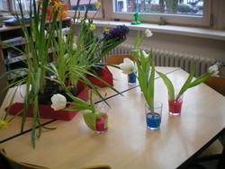WBS_Frosch_Fr&uuml;hling3
