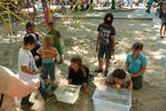 Schulfest (3)