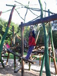 Exif_JPEG_PICTURE                                              