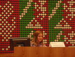 Landtag (4)