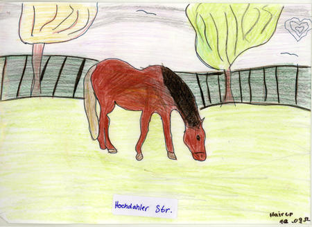Hildenbild 3