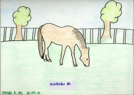 Hildenbild 16