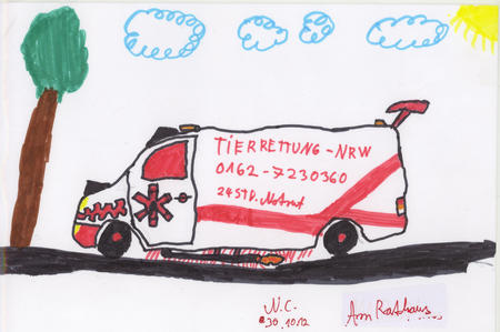 Hildenbild 40