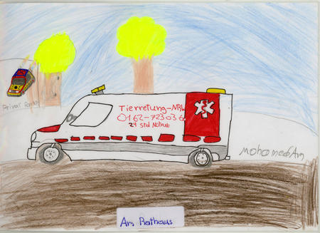 Hildenbild 42