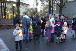 Frosch 10