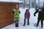 Schneetreiben (2)