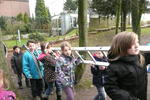 Fledermaus (3)