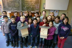 Fledermaus (5)