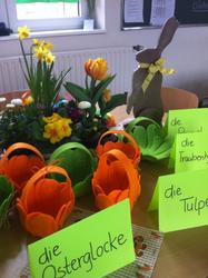 Mausklasse_wbs_Fr&uuml;hling_ 2