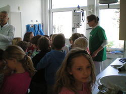 WBS-Frosch 14