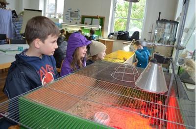Ausflug Naturschutzzentrum