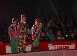 Zirkus 2
