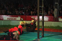 Zirkus 3