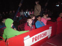 WBS-Frosch 1