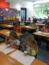 WBS-Frosch 9