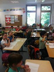 WBS-Frosch 11