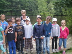 WBS-Frosch 14