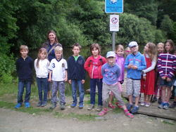 WBS-Frosch 15