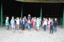 WBS-Frosch 20