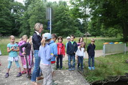 WBS-Frosch 21