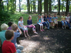 WBS-Frosch 25
