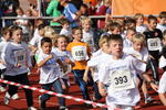 Hildanuslauf 2013 (5)