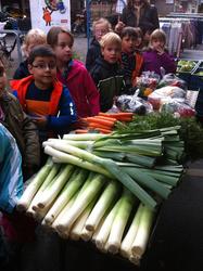 Mausklasse 2b_ Markt 2