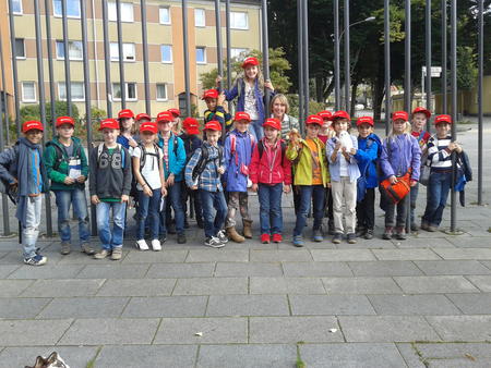 WBS-Frosch 1